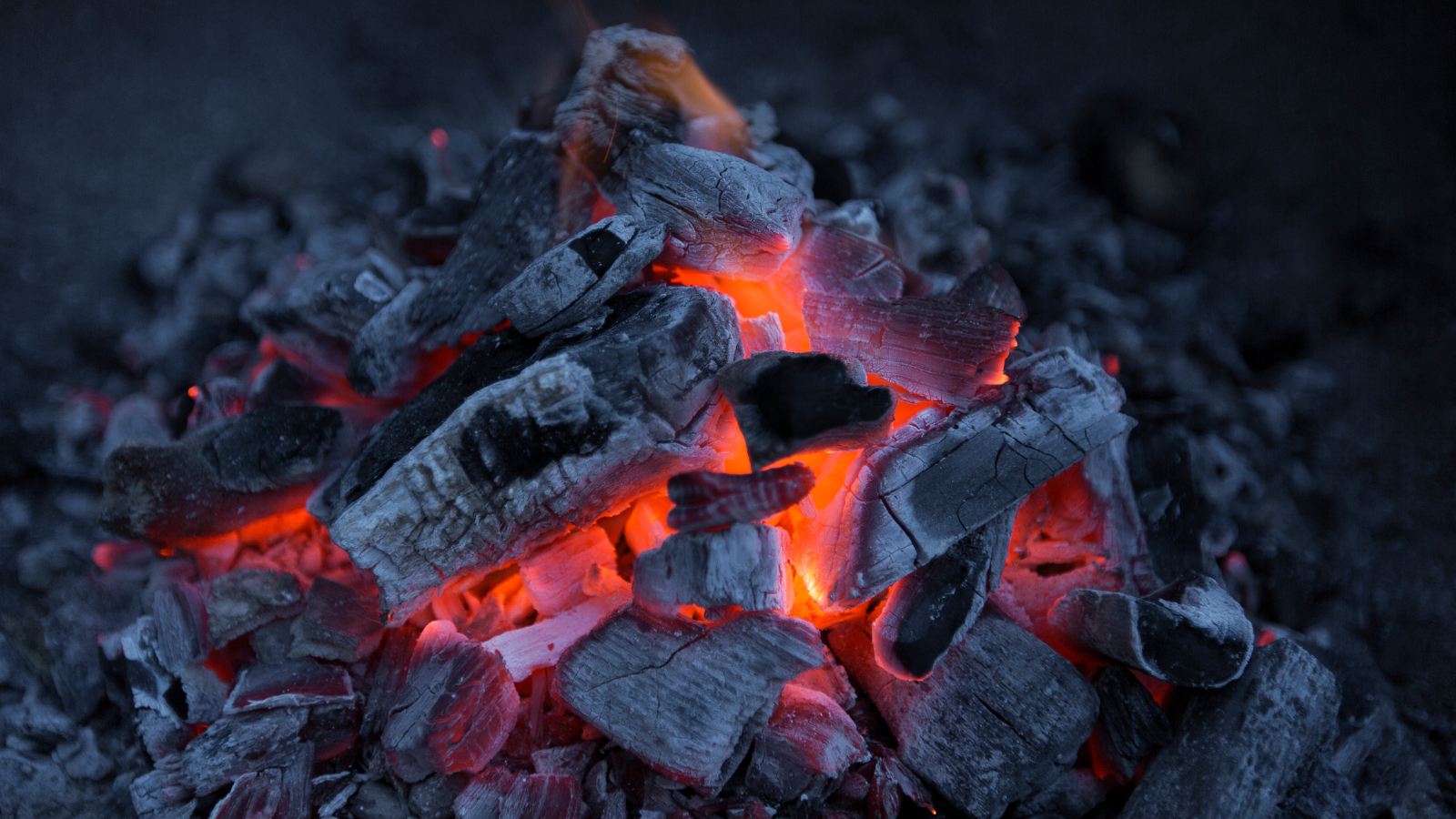 003 Embers - Tonka Bean - Dark Musk