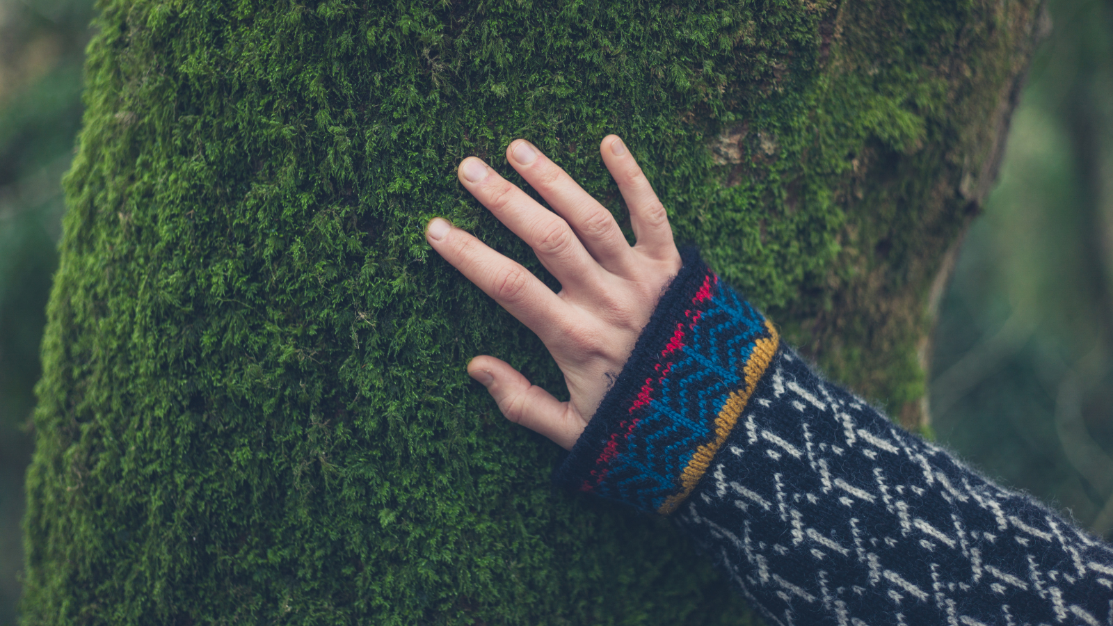 006 Moss - Amber - Sage