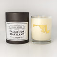 Load image into Gallery viewer, Fallin' For "Your State" | Fall/Autumn Fragrances | 11oz Soy Candle All States
